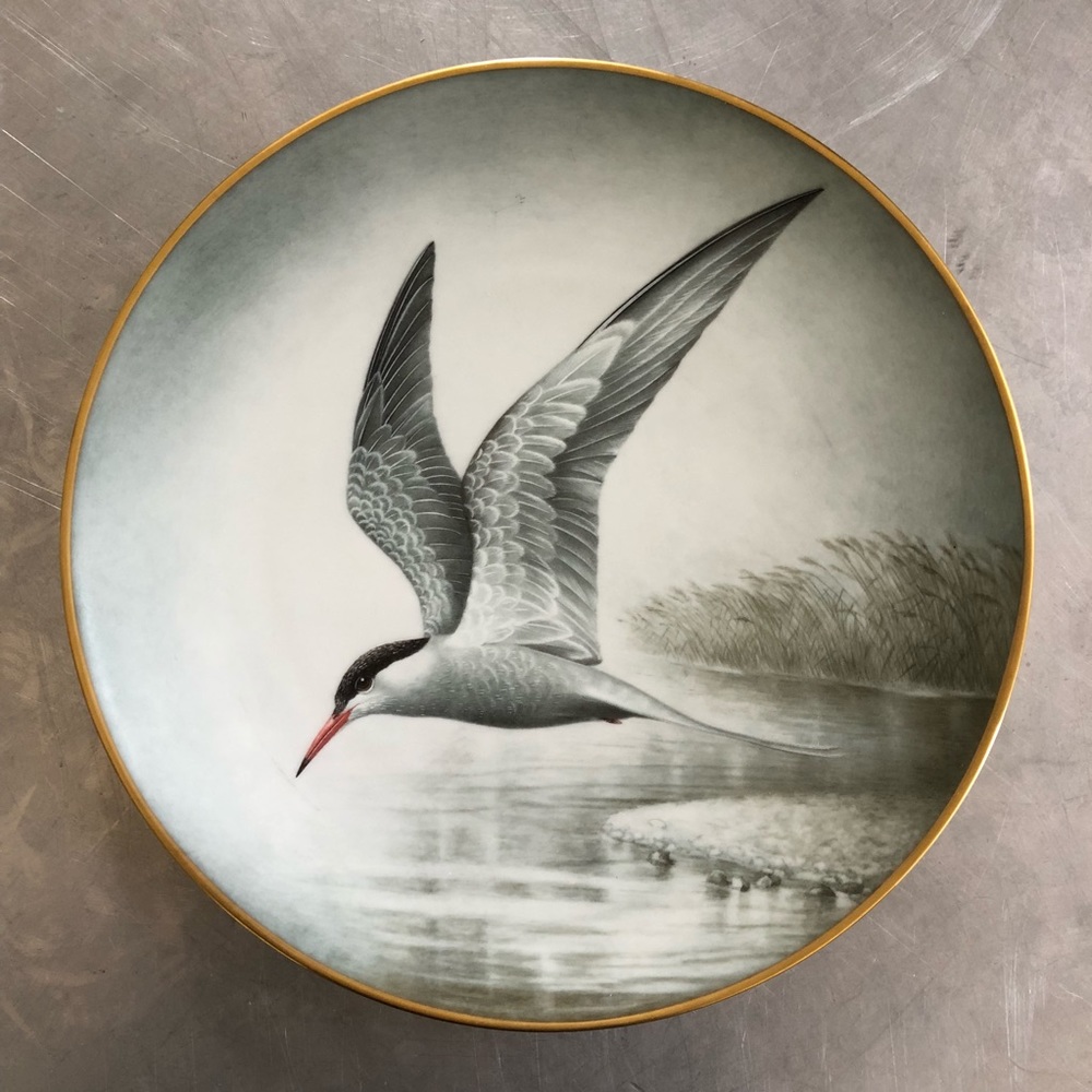 ⭐️Limoges Haviland⭐️Fine Porcelain Plate